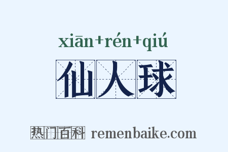 仙人球是什么意思的图片